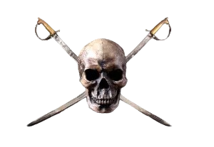 Pirate skull and bones